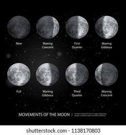 Movements of the Moon Phases Realistic Vector Illustration