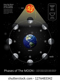 Movements of the Moon Phases Realistic Vector Illustration