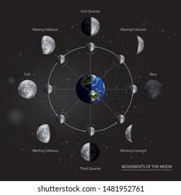 Movements of the Moon Phases Realistic Vector Illustration