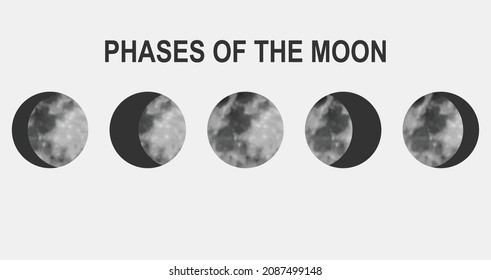Movements of the Moon Phases Realistic Vector Illustration