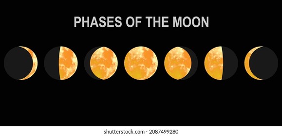 Movements of the Moon Phases Realistic Vector Illustration