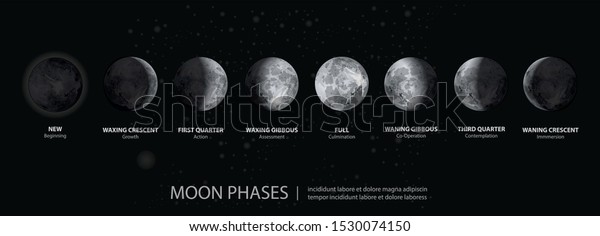 月の動きの相のリアルなベクターイラスト のベクター画像素材 ロイヤリティフリー