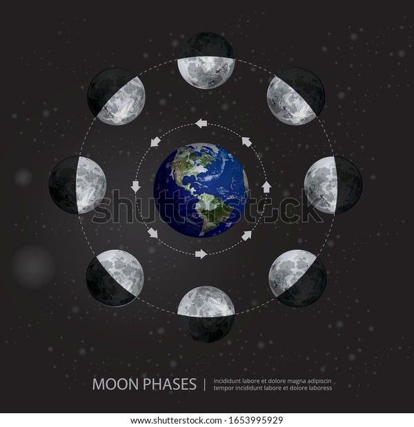 Movements of the Moon Phases Realistic\
Vector Illustration
