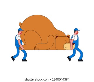 Movers and Bear. Porters carry Big animal. Delivery service. Loader mover man holding. Moving Vector illustration