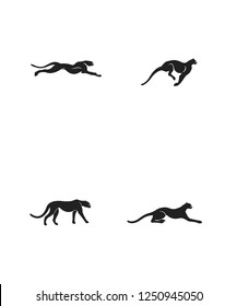 Сheetah moves. Run, Jump, Attack, Pursue, Chase. High Detail Vector illustration.