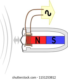 Moving coil microphone