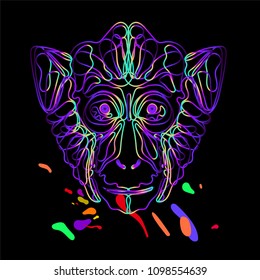 Moving colorful lines of abstract background-monkey