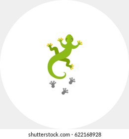 Moving lizard and its footprint icon