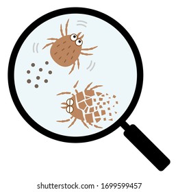 Moving mites and dead mites are magnified with a loupe.