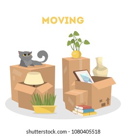 Moving to a new house. Containers and cat on white.