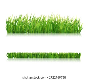 Mowed green grass isolated on white background. Realistic horizontal field, lawn or meadow. Vector illustration.