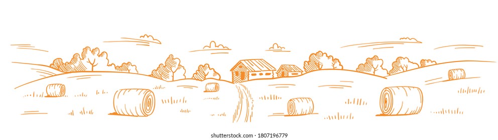 Mown straw grass. Rural landscape. Village field road. Hand drawn sketch. Countryside. Contour vector line. Horizontal banner background.