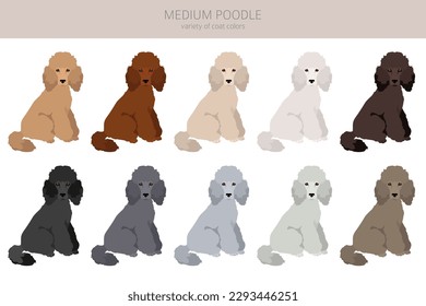 Moyen Poodle, Medium Poodle Clip Art. Unterschiedliche Posen, Farben für die Fellfarbe.  Vektorgrafik