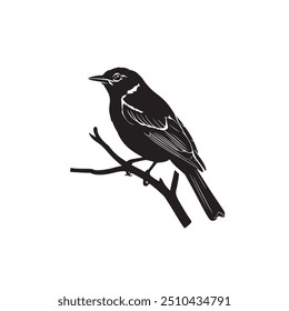 Moyna bird silhouette vector illustration with white background