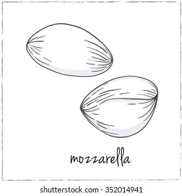 Mozarella. Collection of cheese. Vector illustration of for design menus, recipes and packages product.