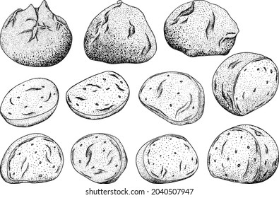 Mozzarella cheese ball, slice and pieces. Hand drawn sketch style drawing of traditional Italian cheese. Fresh soft butter cheese. Vector illustration.