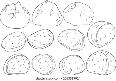 Bolas de queso Mozzarella, rodajas y trozos. Dibujo a mano de croquis de color de queso tradicional italiano. Queso fresco y suave. Páginas de coloreado vectorial.