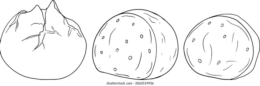 Mozzarella cheese ball, slice and pieces. Hand drawn colored sketch style drawing of traditional Italian cheese. Fresh soft cheese. Vector coloring pages.