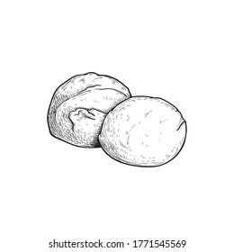 Mozzarella cheese balls. Hand drawn sketch style drawing of traditional Italian cheese made from buffalo milk. Fresh soft butter cheese. Vector illustration.