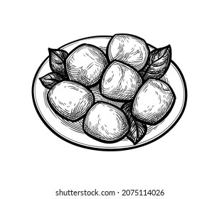 Mozzarella cheese with basil on plate. Ink sketch isolated on white background. Hand drawn vector illustration. Vintage style stroke drawing.