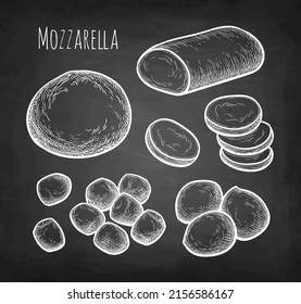 Mozzarella cheese big set. Chalk sketch on blackboard background. Hand drawn vector illustration. Vintage style stroke drawing.