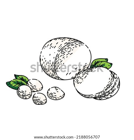 mozzarella cheese hand drawn vector. white fresh italian food ball, grated piece mozzarella cheese sketch. isolated color illustration
