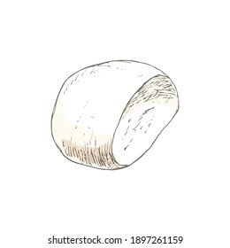 Mozzarella cheese isolated on white background. Dairy products. Vintage style design. Template for postcard, banner, poster, web design, menu. Hand Drawn vector illustration.