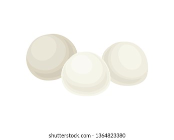 Mozzarella cheese on white background. Vector illustration.