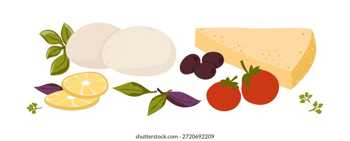 Queijo Mozzarella e pedaço de parmesão com tomate manjericão, azeitonas e fatias de limão. Ilustração vetorial isolada em branco. Um conjunto de produtos para fazer salada caseira ou pizza.