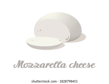 Mozzarella cheese. Realistic cheese on white background. Vector illustration
