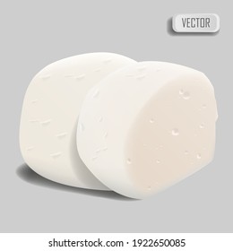 Mozzarella cheese. Realistic cheese on white background. Vector illustration
