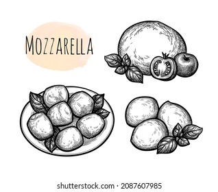 Mozzarella cheese set. Ink sketch isolated on white background. Hand drawn vector illustration. Vintage style stroke drawing.