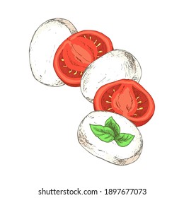 Queso de mozzarella, tomates cortados y albahaca aislados en fondo blanco. Ingredientes de ensalada caprinos. Plantilla para postal, banner, afiche, diseño web, menú. Ilustración vectorial dibujada a mano.