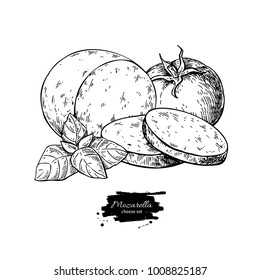 Mozzarella cheese vector drawing. Hand drawn round piece with basil and tomato. Italian organic food sketch. Caprese salad ingredients. Farm market product for label, poster, icon.