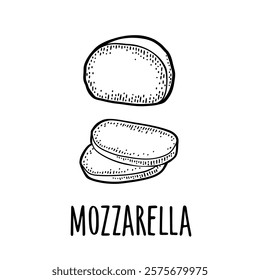 Mozzarella half and slices. Vector black vintage engraving illustration isolated on white background.
