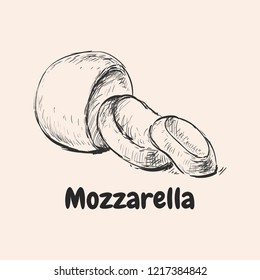 Mozzarella Hand Drawn Vector Illustration.