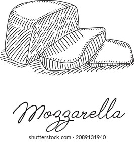 Mozzarella. Sketchy hand-drawn illustration. Mozzarella cheese slices.