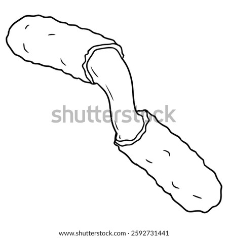 mozzarella stick illustration hand drawn outline vector