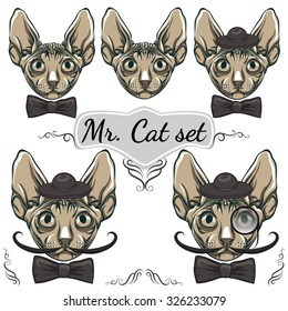 Mr. Cat Set.Collection Of Different Cat Faces.5 In 1.