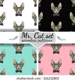 Mr. cat set.Collection of different cat faces.Seamless pattern background.4 in 1.