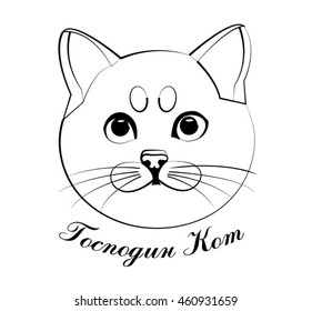 Mr. Cat  (translation - Mr. Cat)