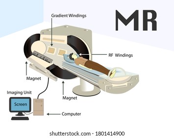 MR Infographic. Magnetic Resonance Imaging. Nuclear Magnetic Resonance Imaging. Magnetic Resonance Tomography. Resonance Subject For Physics Lesson. MR Device. Computed Tomography