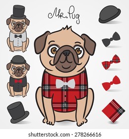 Mr. Pug. Dog clothing, accessories, hat, bow tie.