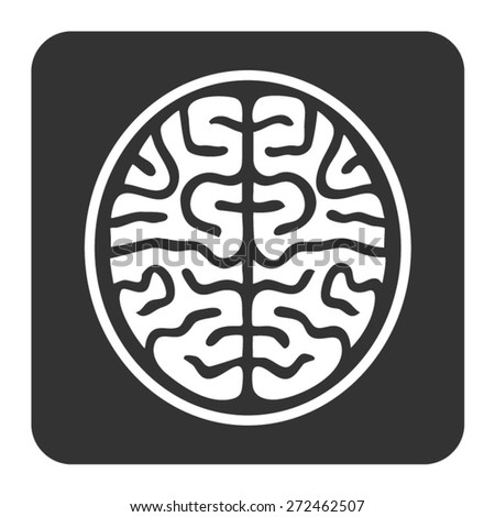 MRI brain ct scan flat vector icon for medical apps and websites