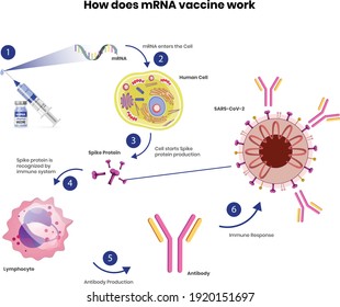 MRNA Vaccine Image In Vector File