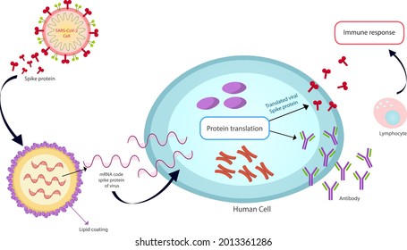 mRNA Vaccine SARS-Cov-2. Covid19 vaccine of vector texture.