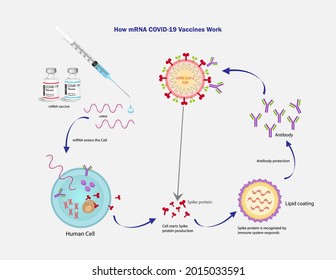 MRNA Vaccine SARS-Cov-2 Vector Texture.