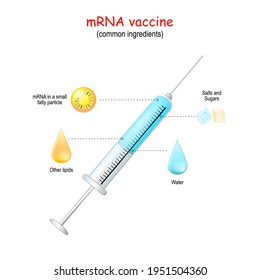 mRNA vaccine. What does a mRNA vaccine contain. Vector illustration. close-up of syringe with COVID-19 vaccine ingredients
