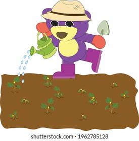 Mr.Purple bear is watering the pumpkin garden