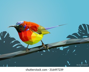 mrs goulds sunbird. Low poly style